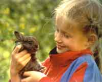 Aarholt-tunet har bondegårdsferie for familier hele juli